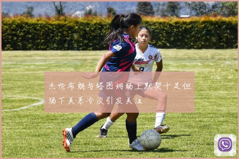 杰伦布朗与塔图姆场上默契十足但场下关系冷淡引发关注