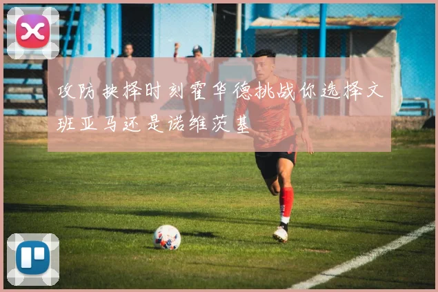 攻防抉择时刻霍华德挑战你选择文班亚马还是诺维茨基