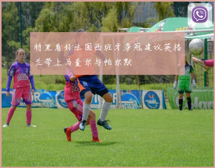 特里看好法国西班牙争冠建议英格兰带上马奎尔与帕尔默